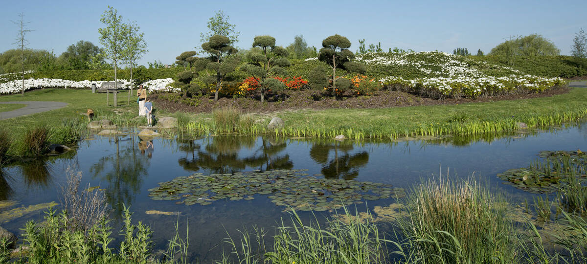 vijver en bijzondere planten in het Máximapark