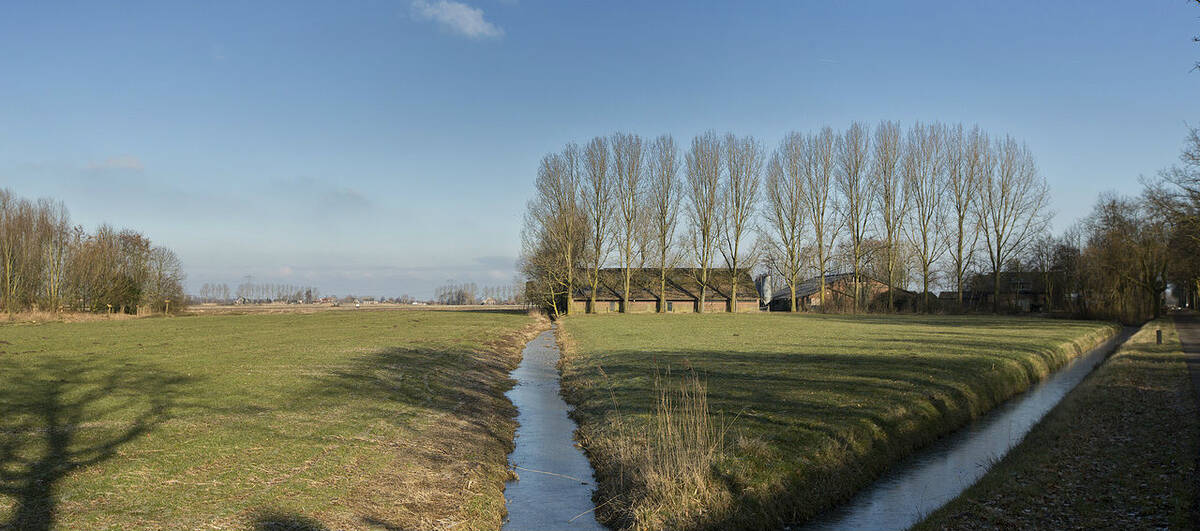 twee sloten komen samen tussen de weilanden. Op de achtergond een rij bladloze bomen langs een laan.