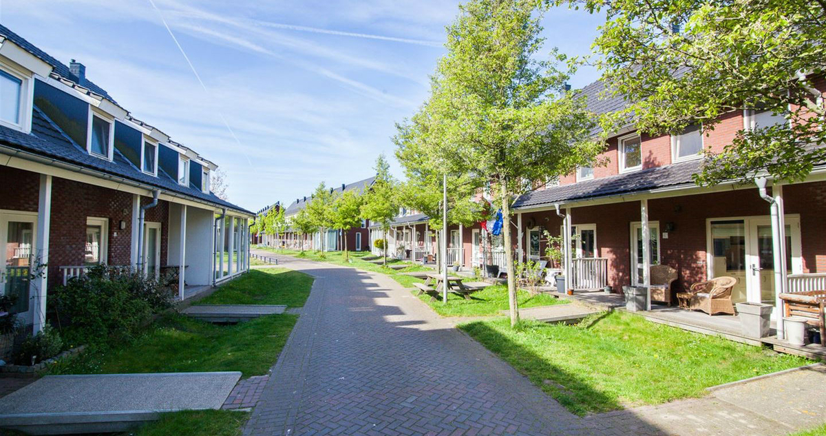 nieuwe straat met verandawoningen, met bomen en gras langs de rijbaan