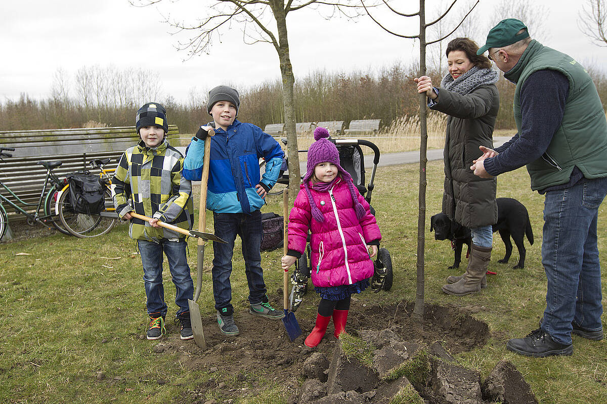 kinderen planten een boom
