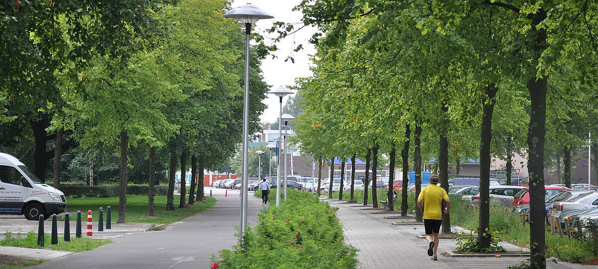 een fietspad en een voetpad gescheiden door bomen en lantaarnpalen, op de achtergrond geparkeerde auto's